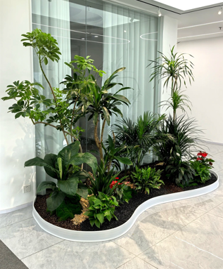 宁波绿植租赁常见问题-海曙花木摆放方案-余姚绿植租赁管理-余姚租花木千套方案效果